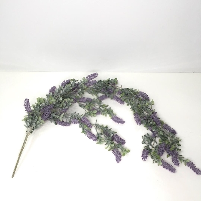 Trailing Lavender 100cm