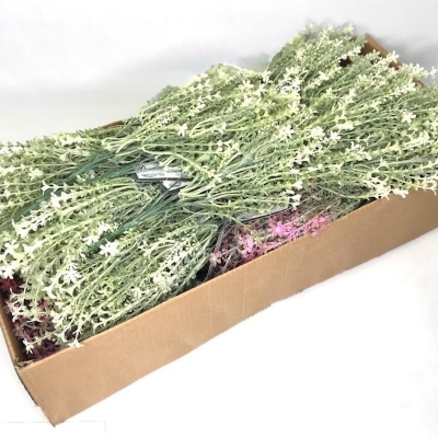 48 x Assorted Flowering Heather Bush 35cm