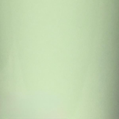Light Sage Green Frosted Cellophane 80m