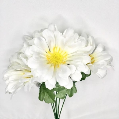 White Zinnia Bush 34cm