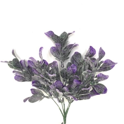 Lilac Frosted Bayleaf Bush 33cm