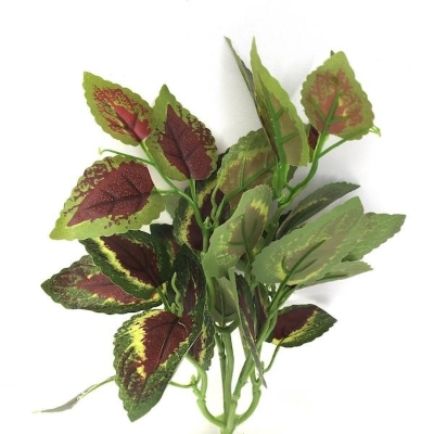 Green Kong Rose Foliage 35cm