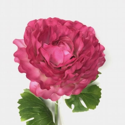 Cerise Ranunculus 55cm
