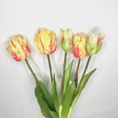 Cream Raspberry Tulip Bundle 40cm