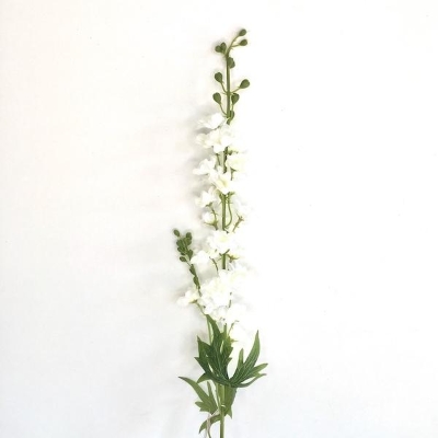 White Delphinium 80cm