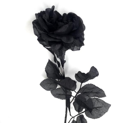 Black Rose 72cm