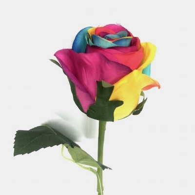 Rainbow Rose 50cm