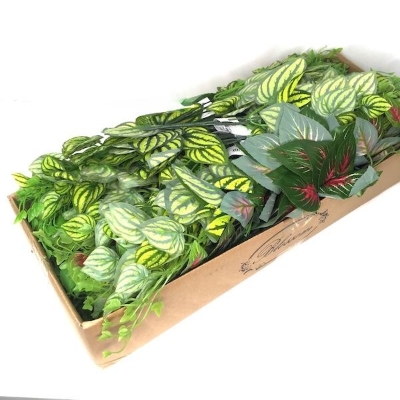 48 x Assorted Foliage Bush