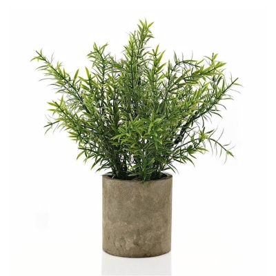 Brown Stone Effect Pot With Plant 27cm