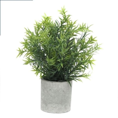 Stone Effect Pot With Plant 26cm