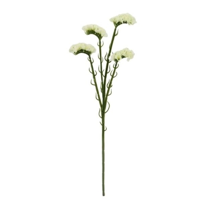 White Statice 62cm