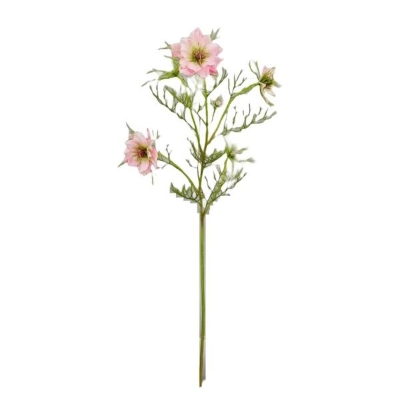 Pink Nigella Spray 69cm