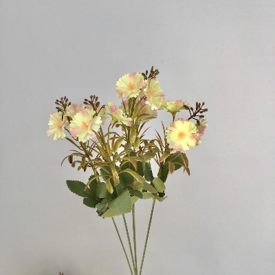 Yellow Mini Dianthus Bush 37cm
