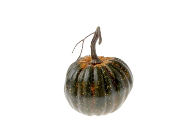 Small Green Pumpkin 15cm