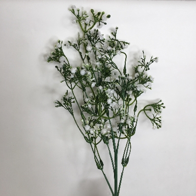 Gyp Stem 60cm