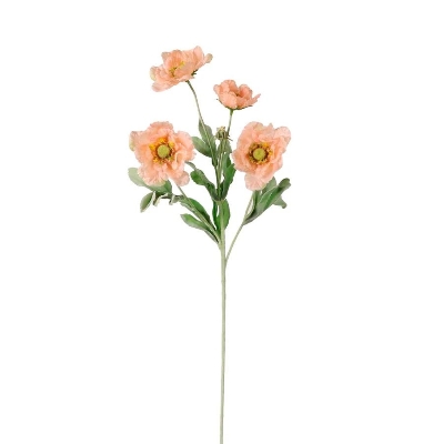 Peach Frilly Scabious 63cm