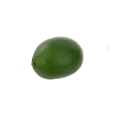 Lime 7cm