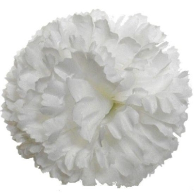 White Carnation Picks x 144