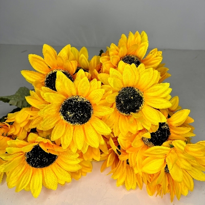 Sunflower Bush
