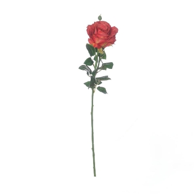 Red Ireland Rose 66cm