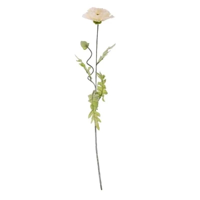 Cream Poppy 70cm