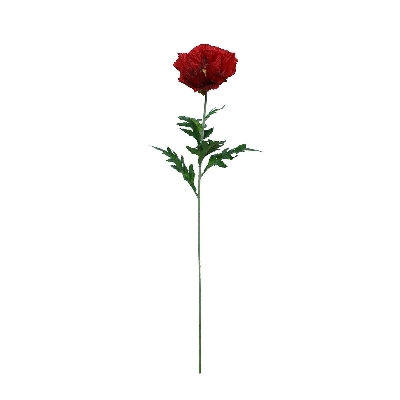 Red Poppy 71cm