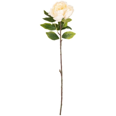 Ivory Aurora Peony 63cm