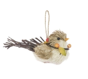 Birds