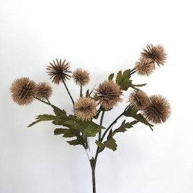 Pompom Spray
