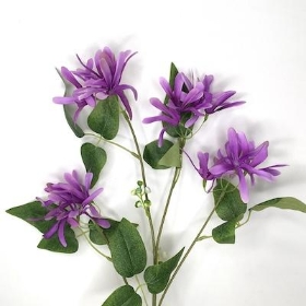 Honeysuckle