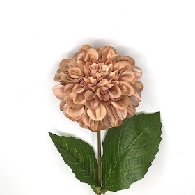 Caramel Zinnia 44cm