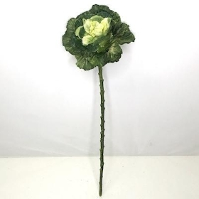 White Green Brassica 46cm