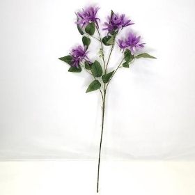 Lilac Honeysuckle 70cm