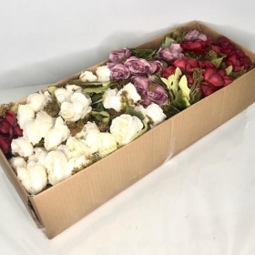 48 x Assorted Open Peony Bush 30cm