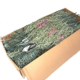 48 x Assorted Frosted Fern & Bud Bush 35cm