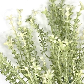 White Flowering Heather Bush 35cm