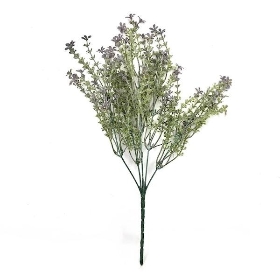 Lilac Flowering Heather Bush 35cm