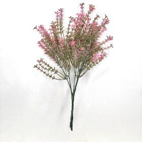 Pink Flowering Heather Bush 35cm