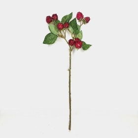 Red Raspberry 38cm
