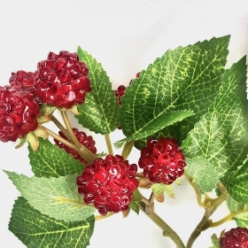 Red Raspberry 38cm