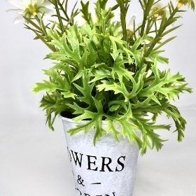 White Daisies in Tin Pot 27cm