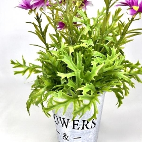 Pink Daisies in Tin Pot 27cm