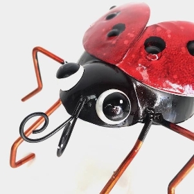 Ladybird Creature Pot Decoration 14cm