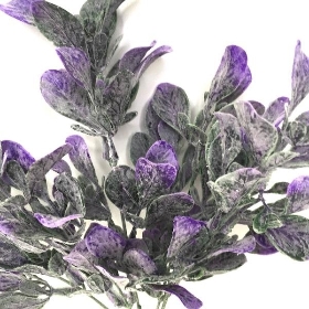 48 x Assorted Frosted Bayleaf Bush 33cm