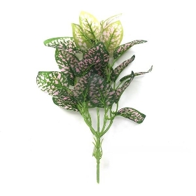 Green Polka Dot Plant Foliage 37cm