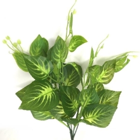 Green Dumb Cane Foliage 43cm