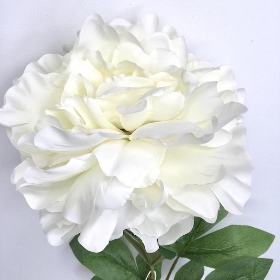 White Peony 75cm