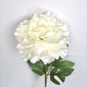 White Peony 75cm