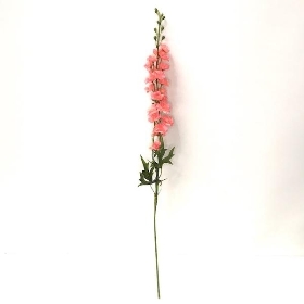 Pink Delphinium 80cm