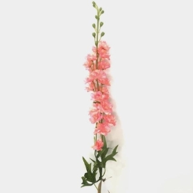 Pink Delphinium 80cm